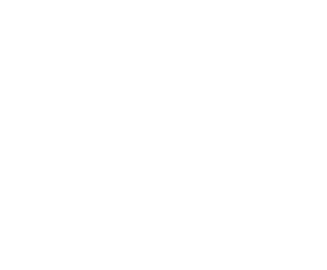 Unique Home Builders logo white